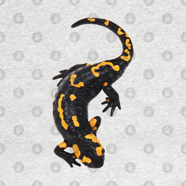 Salamander OG by CharlieCreator